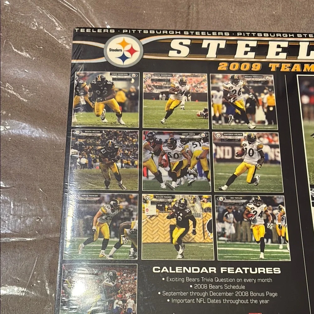 Pittsburgh Steelers 2009 Mini Calendar